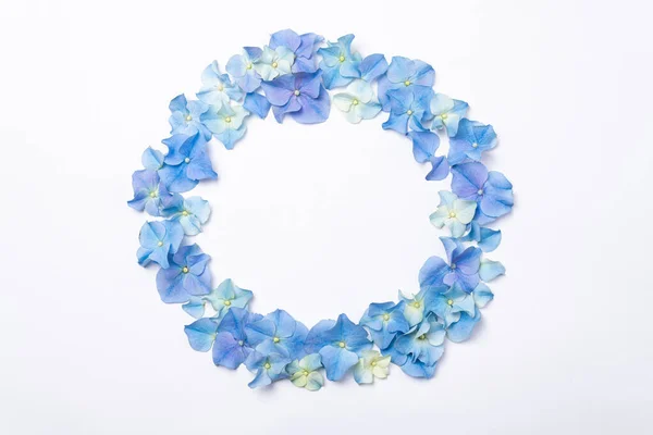Blommor Sammansättning Ram Blå Blommor Hortensia Vit Bakgrund Kreativ Blommig — Stockfoto