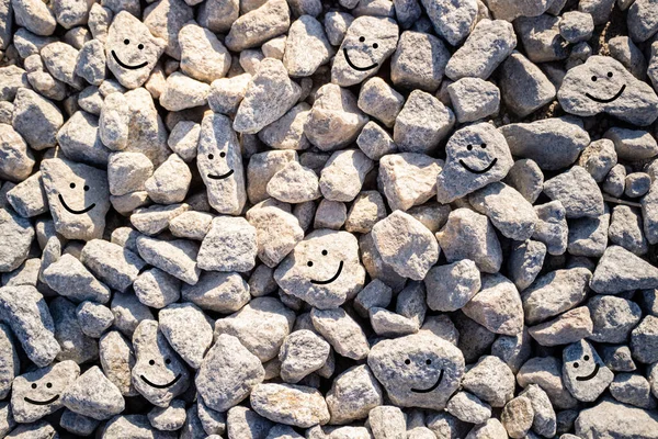 Pedra Com Sorriso Feliz Pedras Engraçadas Fundo Pedras Bonitos Com — Fotografia de Stock