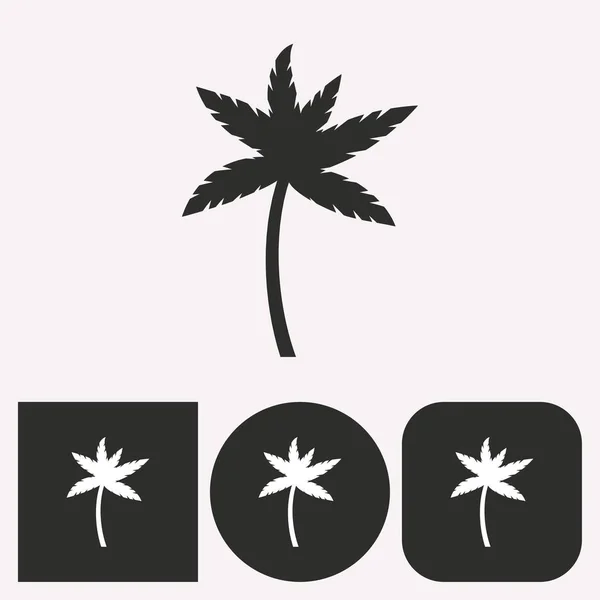 Palm tree - vector icon. — Stock Vector