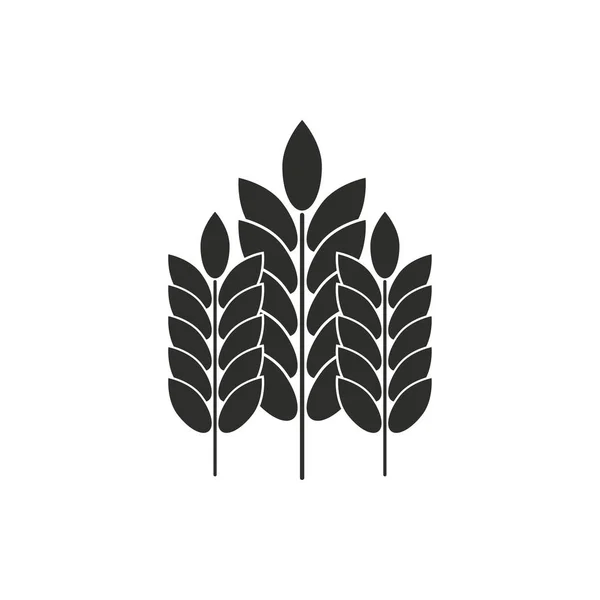 Gerst vector pictogram. — Stockvector