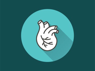 İnsan kalbi ikonu. Grafik ve web tasarımı için izole edilmiş uzun gölgeli basit illüstrasyon.