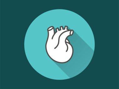 İnsan kalbi ikonu. Grafik ve web tasarımı için izole edilmiş uzun gölgeli basit illüstrasyon.