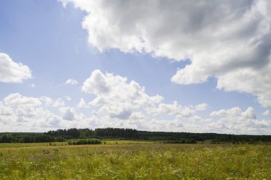 beyaz bulutlar ve alan