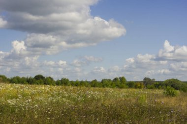 beyaz bulutlar ve alan