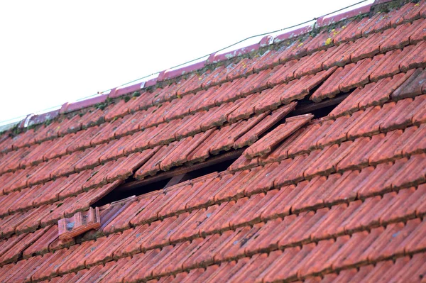Повреждение Крыши После Шторма Упал Лишай Дом — стоковое фото