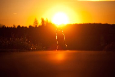 Gün batımında köpek ışığı silueti. Alman çoban köpeği. Suset 'in önünde oturuyor.