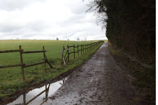 Broken Fence Animals Run Away Paddock — Stock Photo, Image