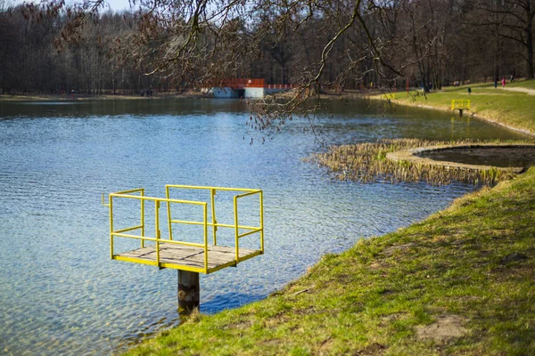 Pond in a Lagiewniki forest in the city of Lodz — Stock Photo, Image