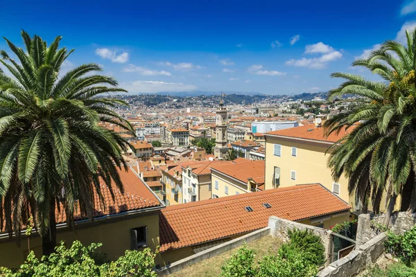 Dachy starego miasta i palmy w Nicei — Zdjęcie stockowe