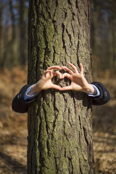heart symbol and protection of trees in the forest