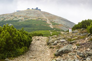 Sniezka tepe Polonya Karkonosze dağlarında tepesine önde gelen iz hiking 
