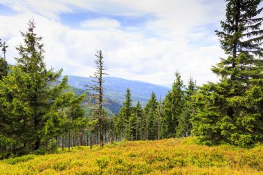 Karkonosze Dağları Polonya'nın peyzaj