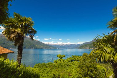 Güzel Itailan dağ Como Gölü ve palmiye ağacı Lombardiya