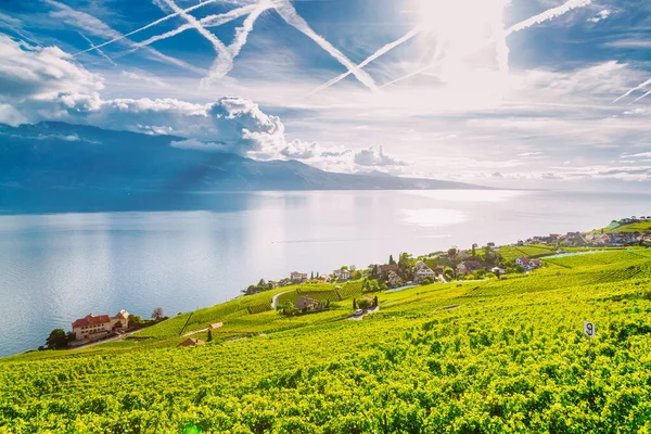 Lavaux, Schweiz: Der Genfersee und die Schweizer Alpenlandschaft von den Weinbergetafeln des Lavaux im Kanton Waadt aus gesehen — Stockfoto