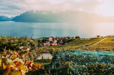 Lavaux, İsviçre: Küçük bir kasaba, Geneva Gölü ve Vaud Kantonu 'ndaki Lavaux üzüm bağlarından görülen İsviçre Alpleri manzarası