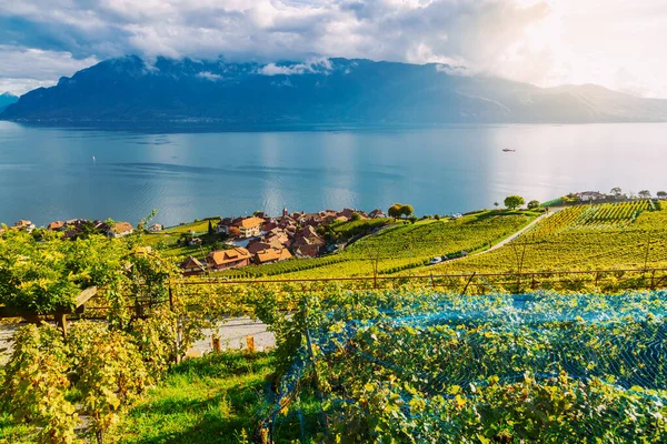 Lavaux, Švýcarsko: Malé městečko, Ženevské jezero a švýcarské Alpy z vinic Lavaux v kantonu Vaud — Stock fotografie