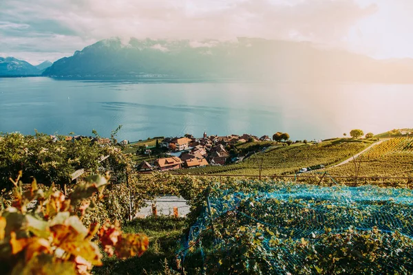 Lavaux, Schweiz: Städtchen, Genfersee und die Schweizer Alpenlandschaft von den Lawinenplantagen des Lavaux im Kanton Waadt aus gesehen — Stockfoto