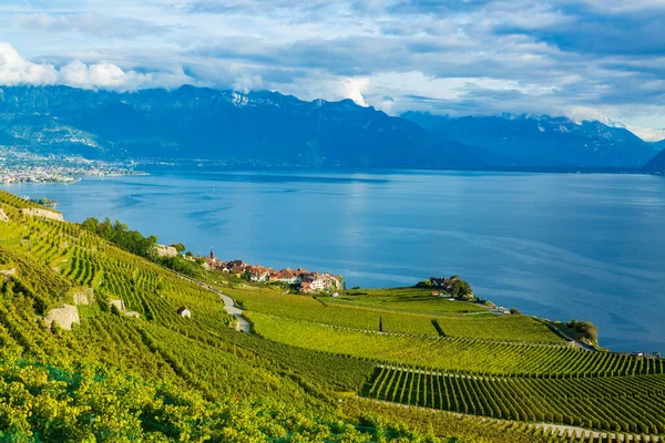 Lavaux, Suiza: El lago de Ginebra y los Alpes suizos se ven desde el viñedo de Lavaux tarraces en el cantón de Vaud — Foto de Stock