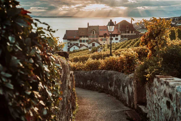 Lavaux, Suíça: Lago Genebra e hauses suíços tradicionais durante o pôr do sol vistos da trilha de caminhadas da vinha de Lavaux em Canton Vaud — Fotografia de Stock