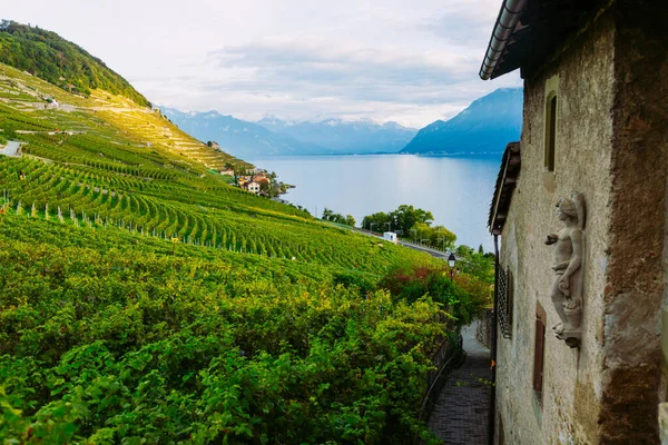 Лаво, Швейцария: озеро Женева, зеленые виноградники и старый город на туристической тропе для виноградников Лаво в кантоне Вод Лицензионные Стоковые Изображения