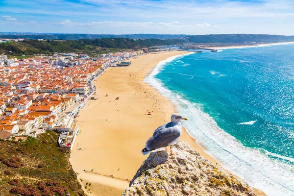 Nazare, Portugal: Panorama da cidade de Nazare e Oceano Atlântico com gaivota em primeiro plano, vista da colina Nazare Sitio — Fotografia de Stock