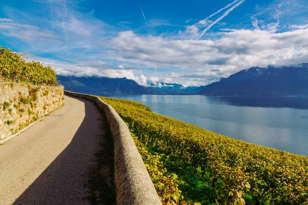 Lavaux Wijngaard Terrassen wandelpad met het landschap van het meer van Genève, Canton Vaud, Zwitserland — Stockfoto