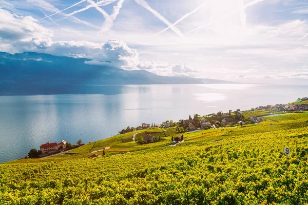 瑞士拉沃：日内瓦湖和瑞士阿尔卑斯山景观，从沃州拉沃葡萄园的塔台看到 — 图库照片