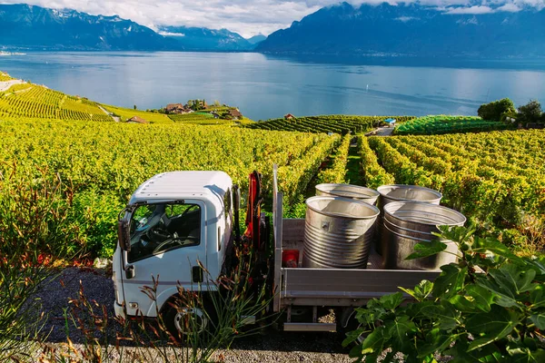 Lavaux, Zwitserland: vaten voor rijp fruit geplaatst op een auto tijdens de druivenoogst. Gezien vanaf Lavaux wijngaard tarraces in Kanton Vaud — Stockfoto