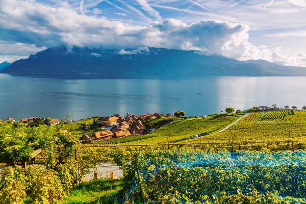 Lavaux, Suíça: Pequena cidade, Lago de Genebra e a paisagem dos Alpes Suíços vista de lavaux vineyard tarraces em Cantão de Vaud — Fotografia de Stock