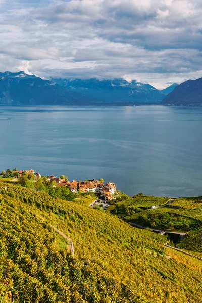 Lavaux, Suíça: Lago de Genebra e a paisagem dos Alpes Suíços vista de Lavaux vineyard tarraces no Cantão de Vaud — Fotografia de Stock