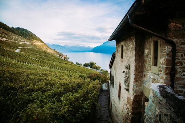 Lavaux, Suíça: Lago de Genebra, vinhas verdes e hause velho na trilha de caminhadas da vinha de Lavaux em Canton Vaud — Fotografia de Stock