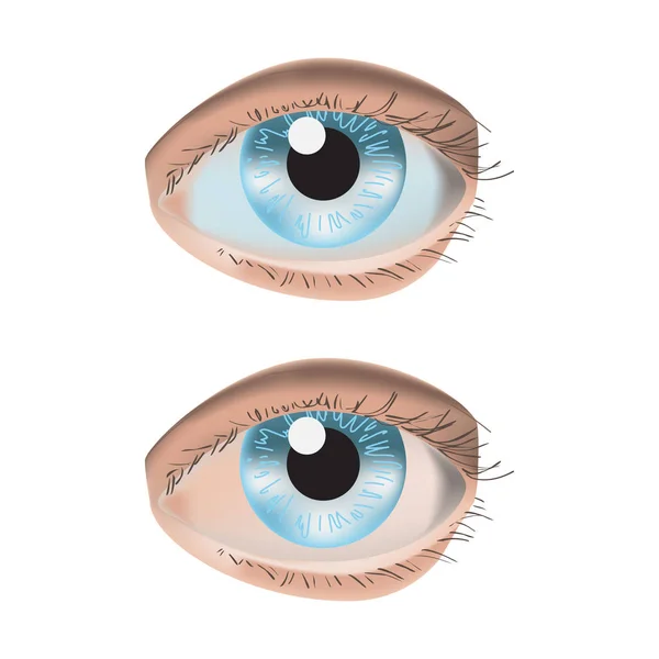 Realistische Vektordarstellung mit 2 Augen auf weißem Hintergrund — Stockvektor