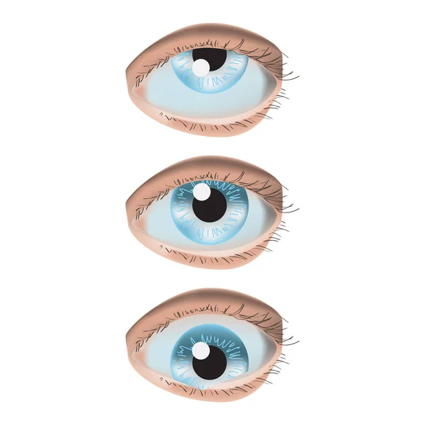 Ilustração vetorial de estilo realista com 3 olhos no fundo branco — Vetor de Stock