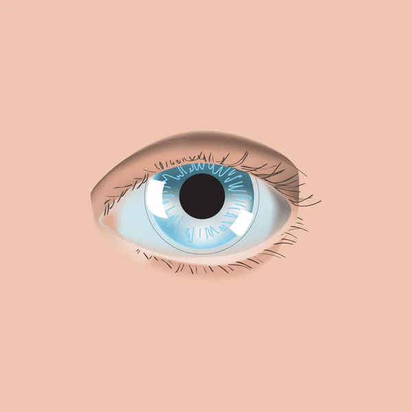 Realistic style vector illustration with eye and contact lens — Stock Vector