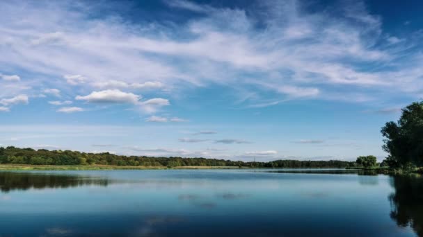 Sommer Natur Wald Seenlandschaft, Zeitraffer. — Stockvideo