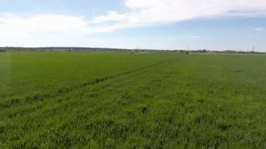 Yeşil çim bitki alanın üzerinde hava uçuş