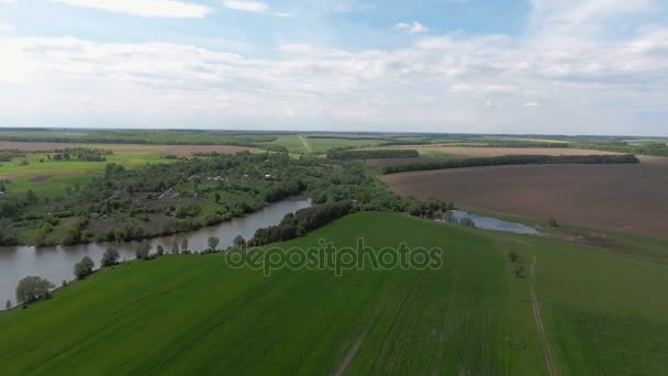 Vídeo aéreo del lago y el campo — Vídeo de stock