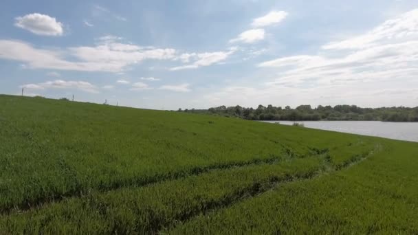 Vídeo aéreo del lago y el campo — Vídeo de stock