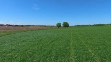 Yeşil çim bitki alanın üzerinde hava uçuş