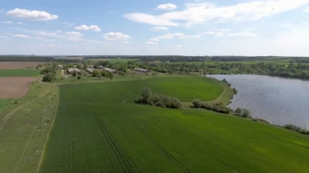 Aerial video of the lake and field — Stock Video