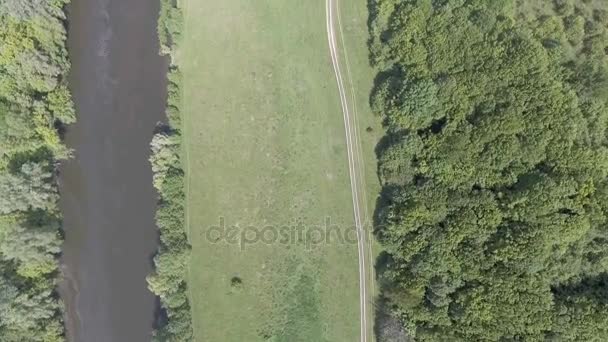 緑の谷と川の航空写真 — ストック動画