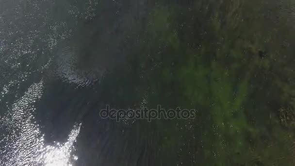 Вид сверху. Низкий полет над свежей холодной рекой в солнечное летнее утро . — стоковое видео