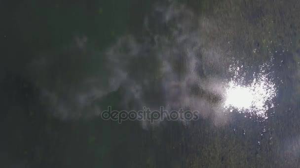 Survoler la belle rivière et la belle forêt .