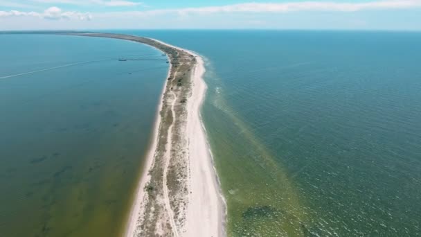 Vista aérea: água com ervas daninhas do mar e derramado — Vídeo de Stock