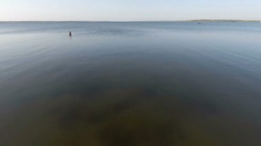 Bir adamın uçak uçan üzerinden hava görünümünü balıkçılık, deniz