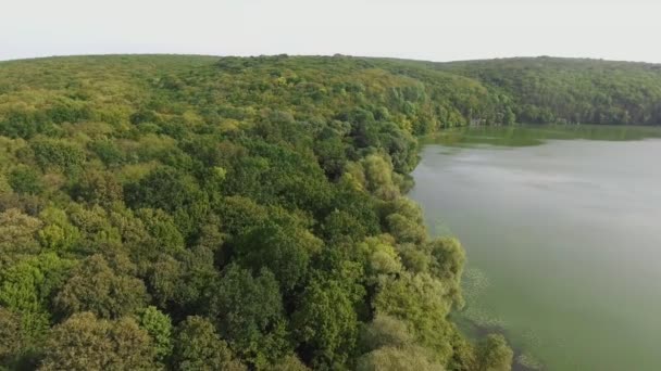 Légifelvételek. Repül át a gyönyörű folyó és a gyönyörű erdő. — Stock videók