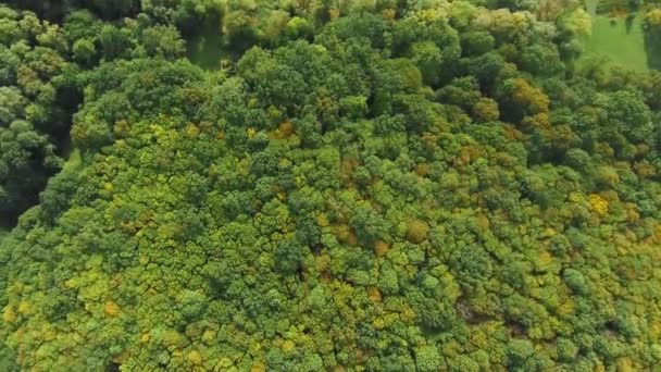 Widok z lotu ptaka. Latające nad piękny las drzew. Panorama pejzaż. — Wideo stockowe