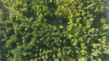 Yoğun karışık ağaç başında yeşil ormandan yükselen hava görüş kamerası taşır