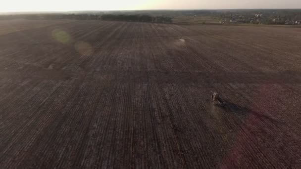 Vídeo Filmagem vista aérea combina colheita vista superior — Vídeo de Stock