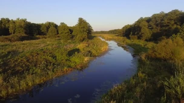 Légifelvételek. Repül át a gyönyörű folyó és a gyönyörű erdő. — Stock videók